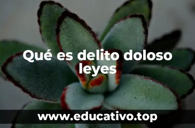 Qué es delito doloso leyes