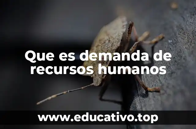 Que es demanda de recursos humanos