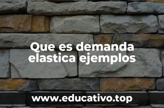 Que es demanda elastica ejemplos