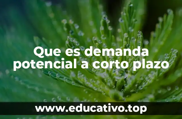 El papel de la demanda potencial en la toma de decisiones empresariales