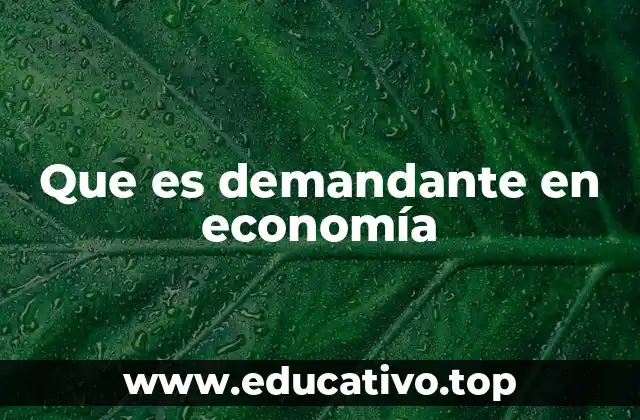 Que es demandante en economía