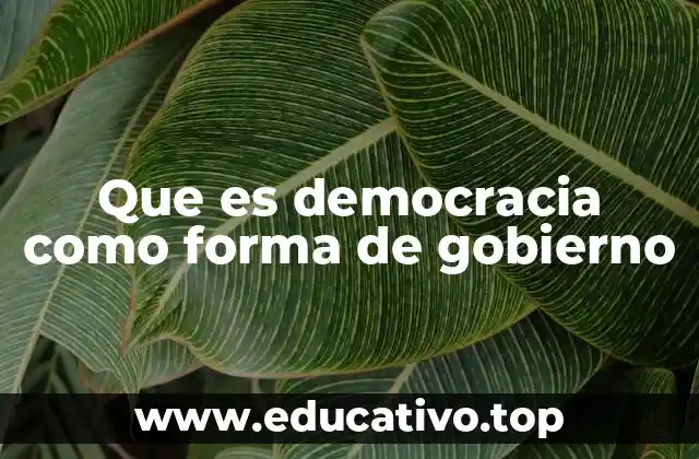 Que es democracia como forma de gobierno