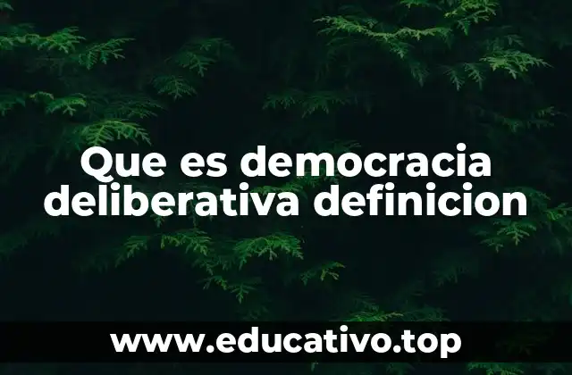 El enfoque participativo en la democracia contemporánea