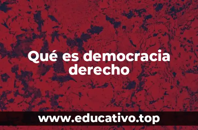 Qué es democracia derecho