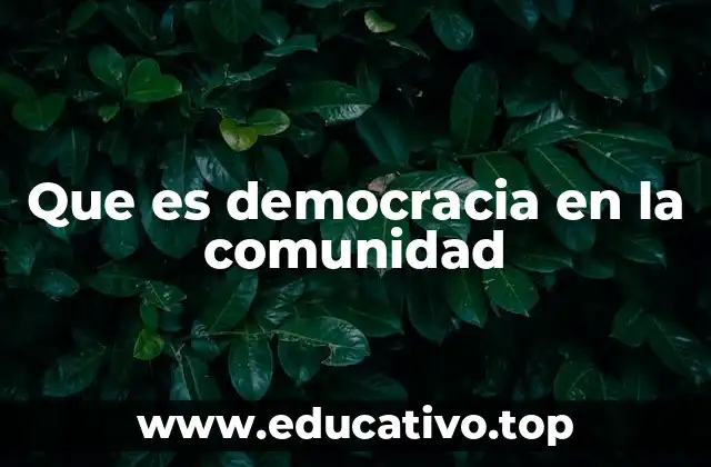Que es democracia en la comunidad