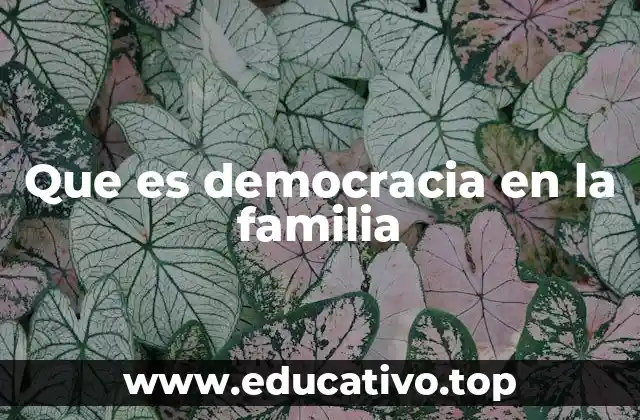 Que es democracia en la familia