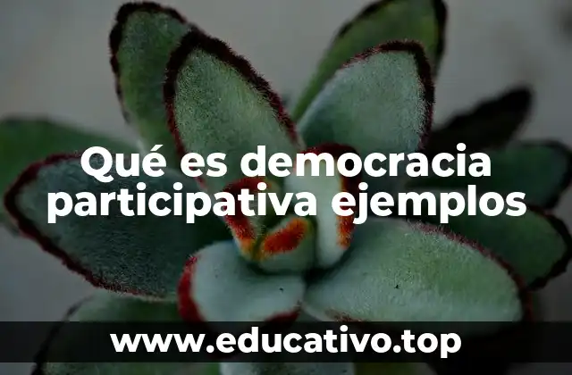 Qué es democracia participativa ejemplos