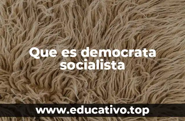 Que es democrata socialista