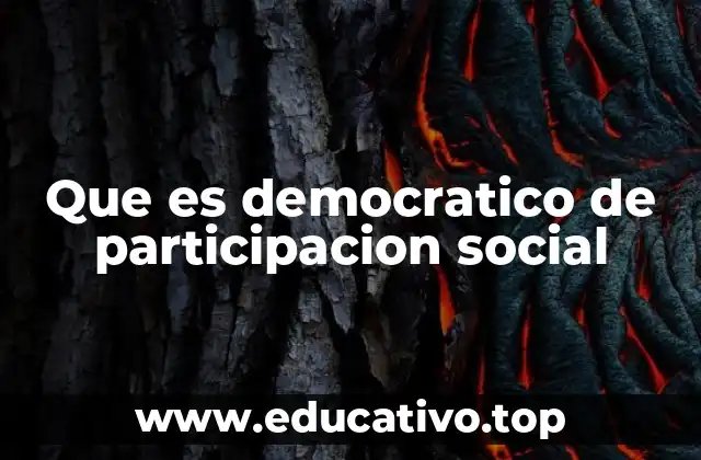 Que es democratico de participacion social