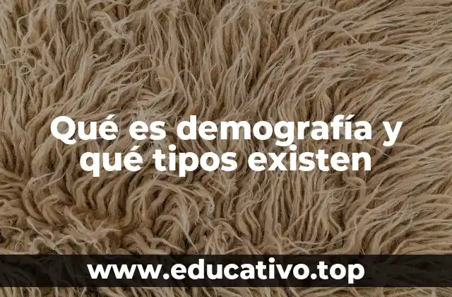 Qué es demografía y qué tipos existen