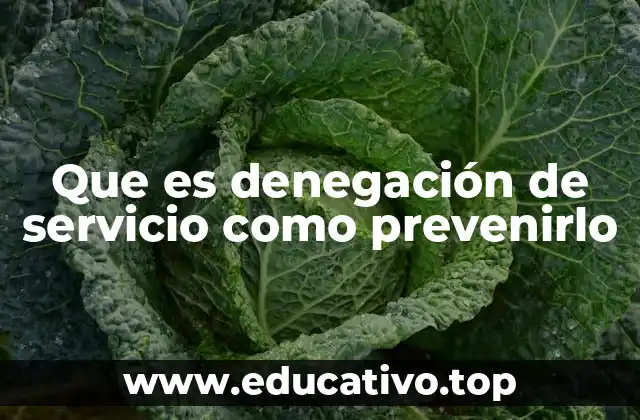 Que es denegación de servicio como prevenirlo