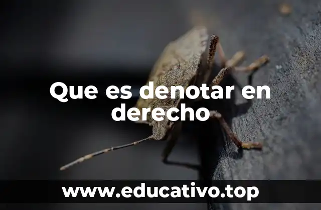 Que es denotar en derecho