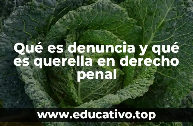 Qué es denuncia y qué es querella en derecho penal