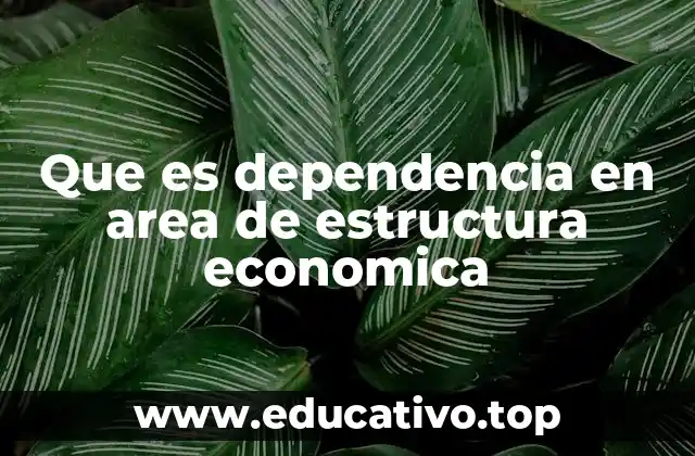 Que es dependencia en area de estructura economica