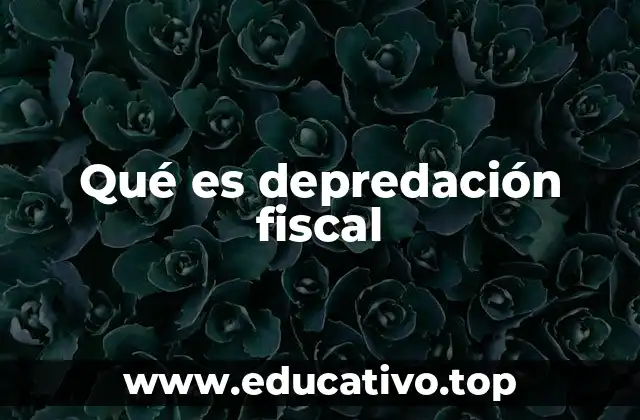 Qué es depredación fiscal