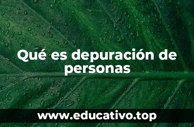 Qué es depuración de personas