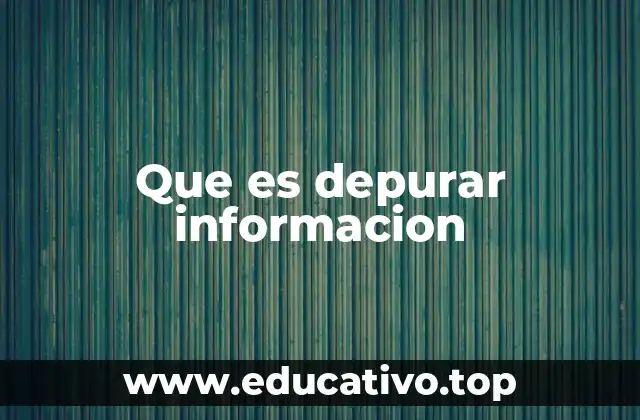 Que es depurar informacion