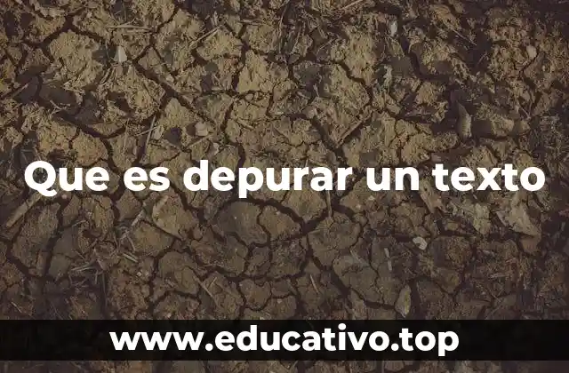 Que es depurar un texto