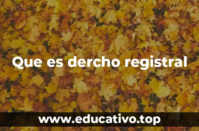 Que es dercho registral