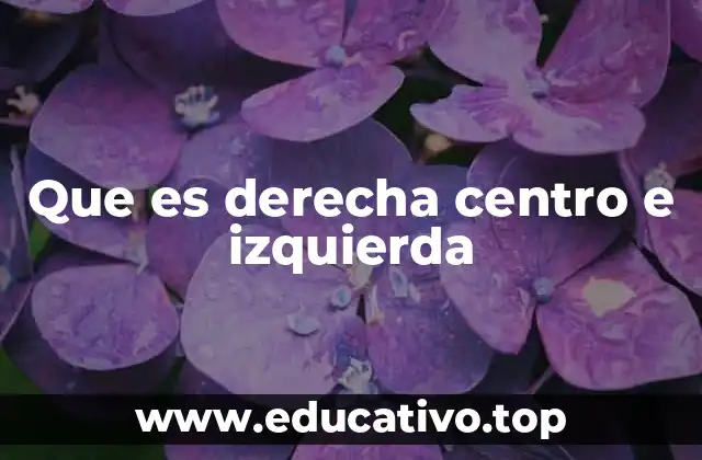 Que es derecha centro e izquierda