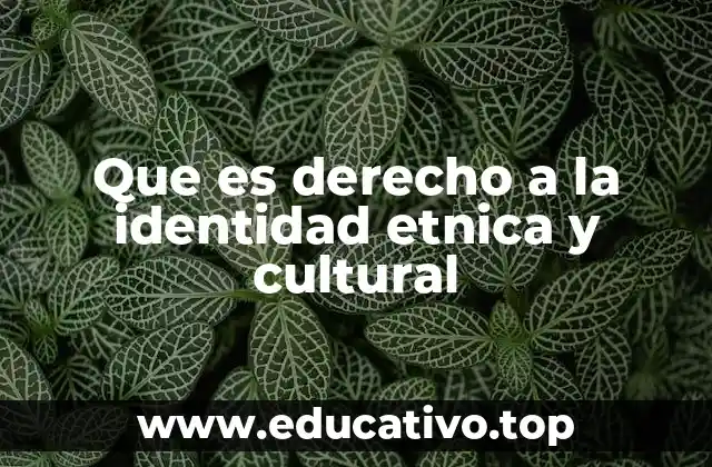 Que es derecho a la identidad etnica y cultural