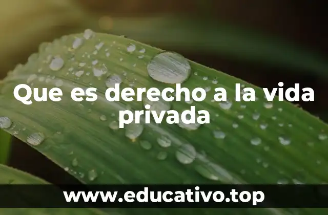 Que es derecho a la vida privada
