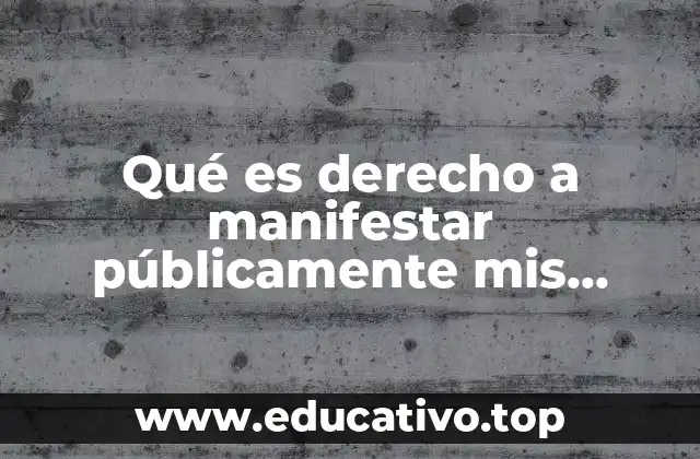 Qué es derecho a manifestar públicamente mis afectos
