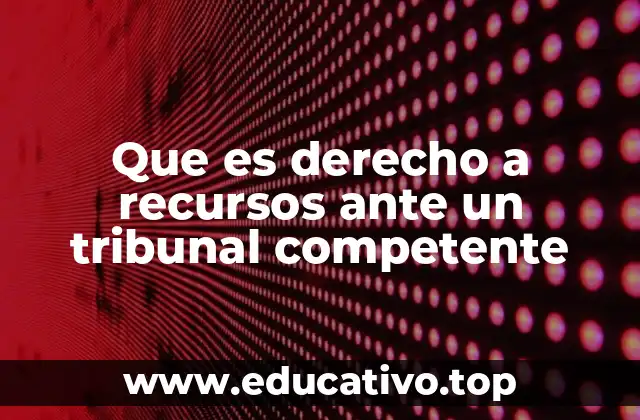 Que es derecho a recursos ante un tribunal competente