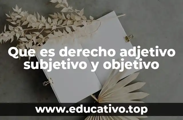 Que es derecho adjetivo subjetivo y objetivo