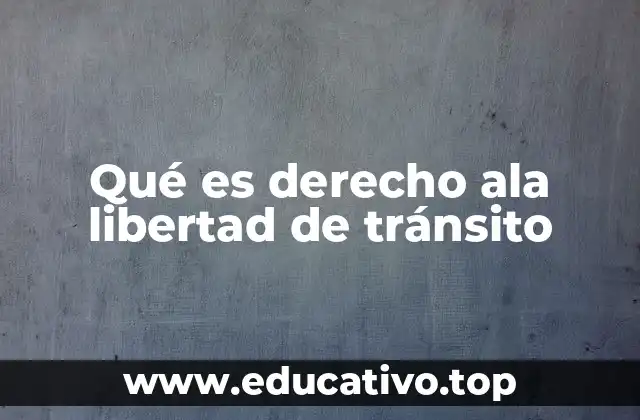 Qué es derecho ala libertad de tránsito
