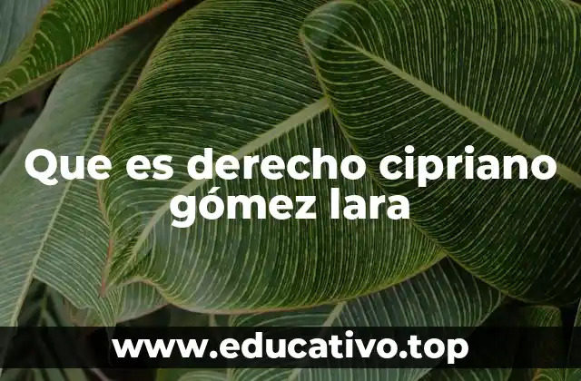 Que es derecho cipriano gómez lara