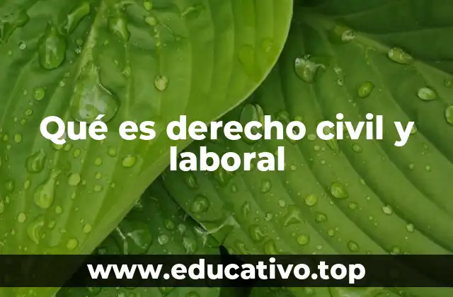 Qué es derecho civil y laboral