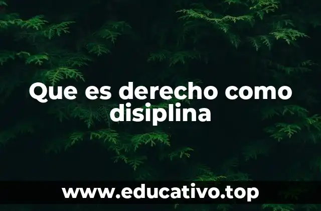 Que es derecho como disiplina