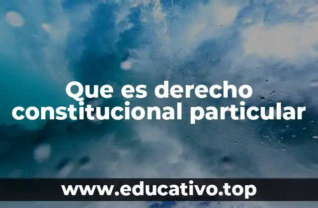 Que es derecho constitucional particular