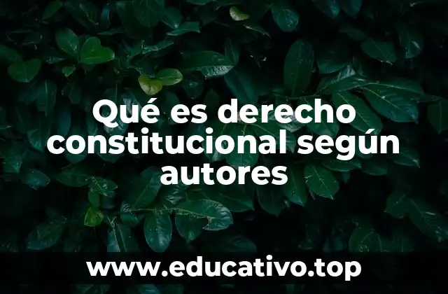 Qué es derecho constitucional según autores