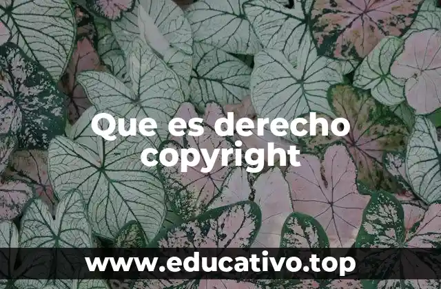 Que es derecho copyright