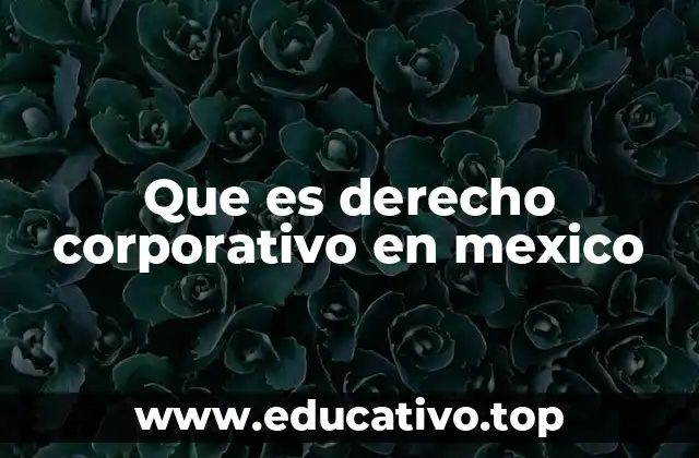 Que es derecho corporativo en mexico