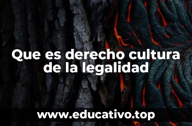 Que es derecho cultura de la legalidad