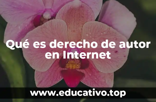 Qué es derecho de autor en Internet
