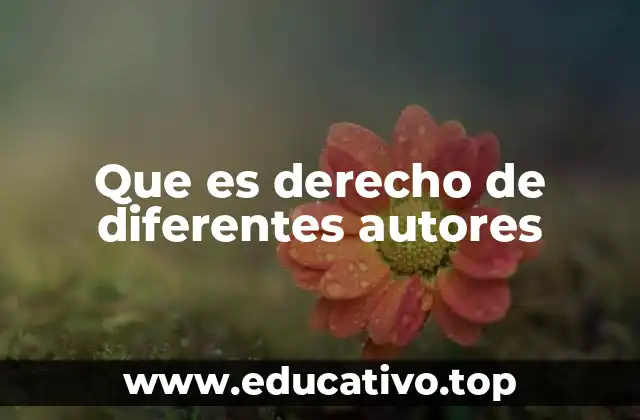 Que es derecho de diferentes autores