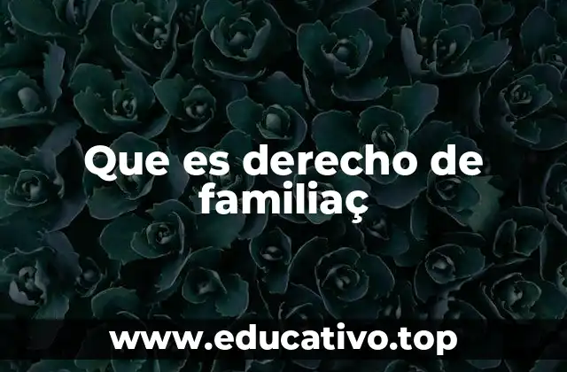 Que es derecho de familiaç