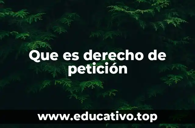 Que es derecho de petición