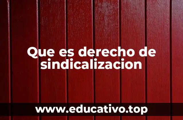 Que es derecho de sindicalizacion