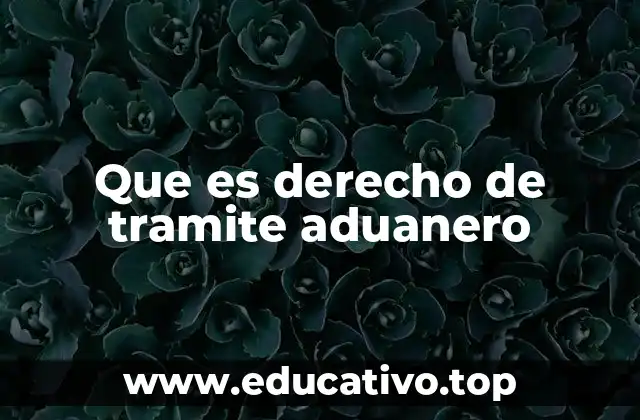 El papel del derecho de trámite aduanero en el comercio internacional