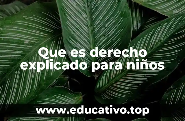 Que es derecho explicado para niños