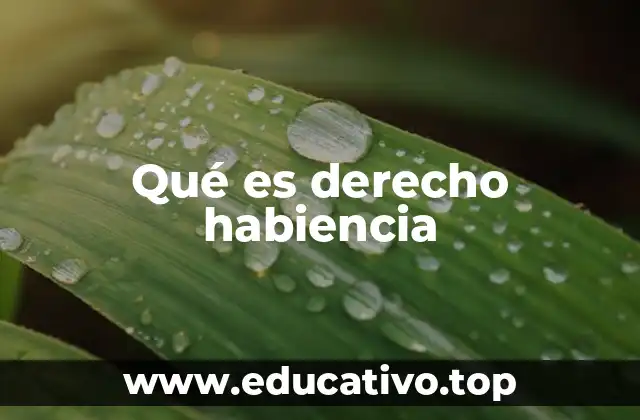 Qué es derecho habiencia