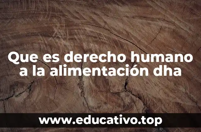 Que es derecho humano a la alimentación dha