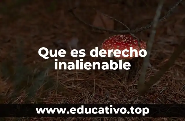 Que es derecho inalienable
