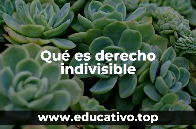 Qué es derecho indivisible