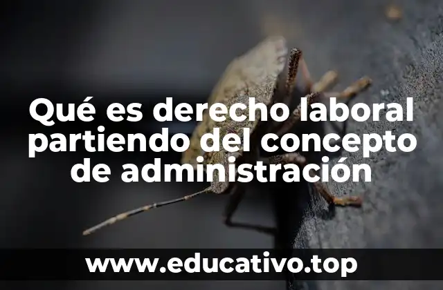 Qué es derecho laboral partiendo del concepto de administración